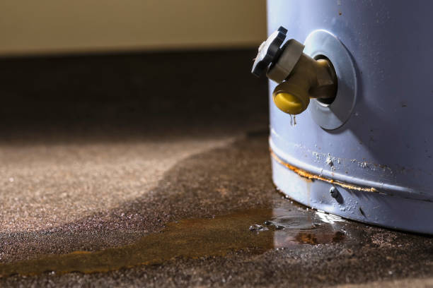 Best Residential water damage restoration  in Merrick, NY