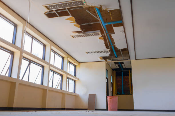 Best Flood damage cleanup  in Merrick, NY