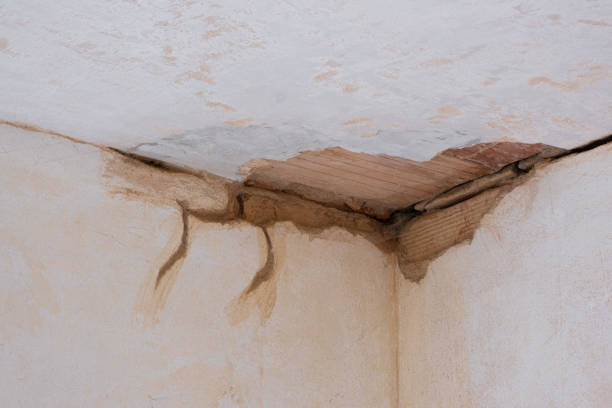 Best Flooded house restoration  in Merrick, NY