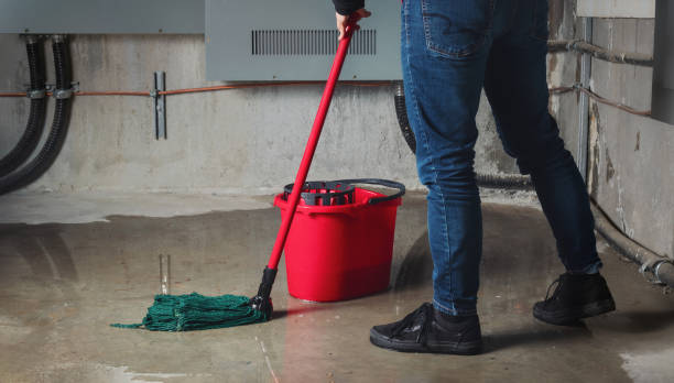Best Water damage restoration services  in Merrick, NY