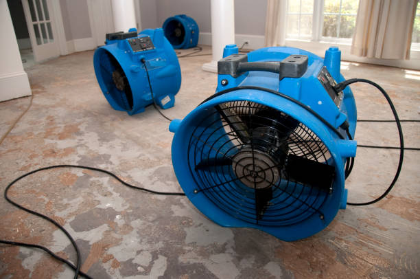 Best 24/7 water damage repair  in Merrick, NY
