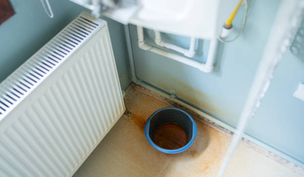Best Professional water damage repair  in Merrick, NY