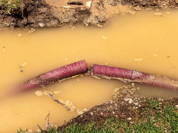Best Local water damage restoration  in Merrick, NY