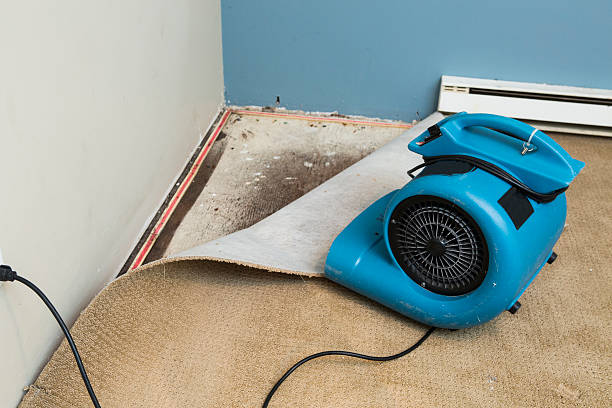 Best Ceiling water damage repair  in Merrick, NY